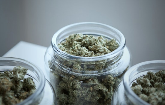 Over $21,000 in Cannabis Products Stolen from Bay County and Mount Pleasant Dispensaries as Police Investigate Statewide Burglary Pattern