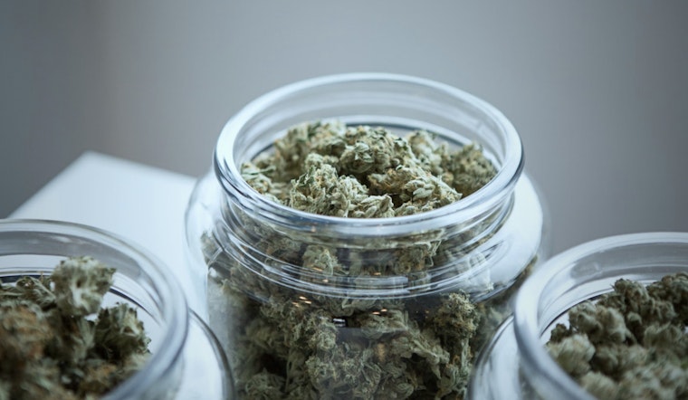 Over $21,000 in Cannabis Products Stolen from Bay County and Mount Pleasant Dispensaries as Police Investigate Statewide Burglary Pattern