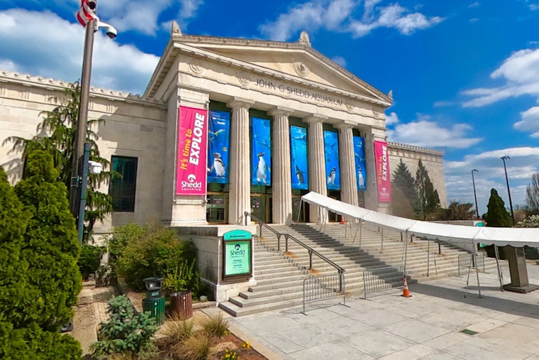 Overwhelming Support for Unionization Among Shedd Aquarium Workers in Chicago