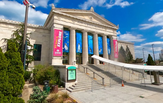 Overwhelming Support for Unionization Among Shedd Aquarium Workers in Chicago
