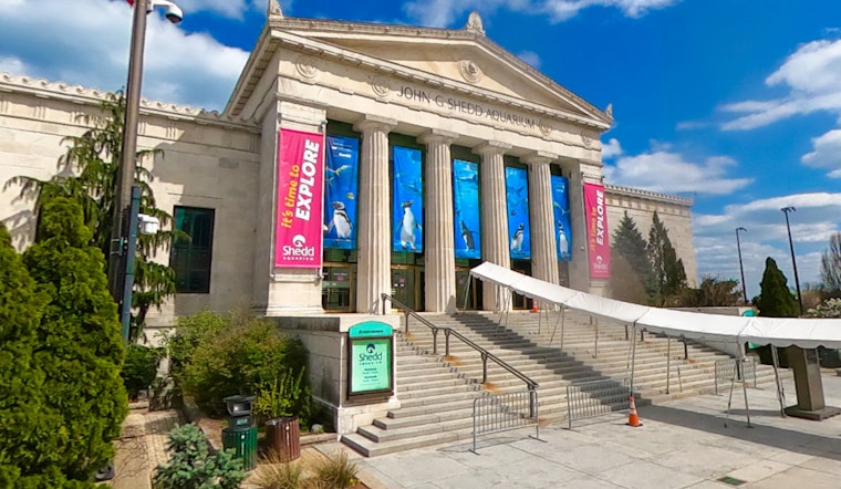 Overwhelming Support for Unionization Among Shedd Aquarium Workers in Chicago