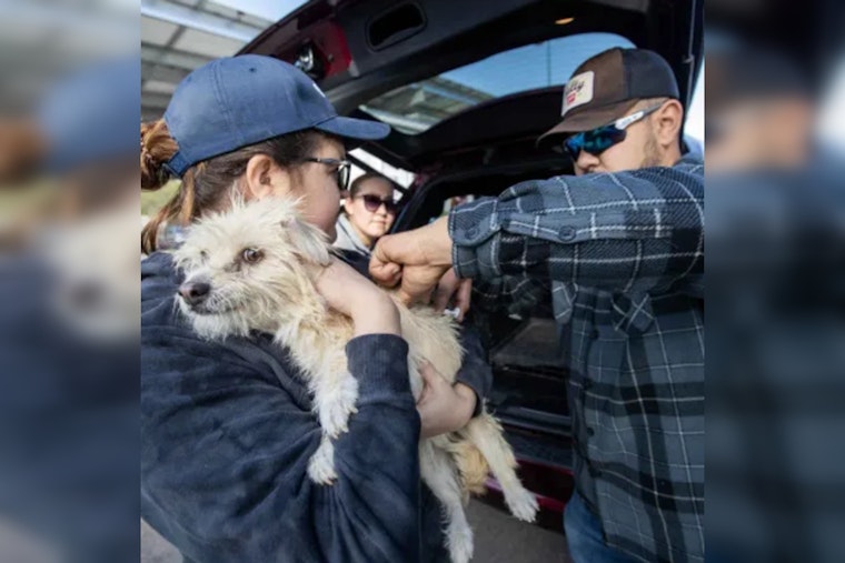 PACC Launches Free Microchipping for Pets to Elevate Reunions and Reduce Shelter Overcrowding
