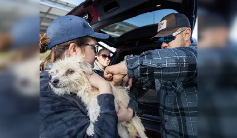 PACC Launches Free Microchipping for Pets to Elevate Reunions and Reduce Shelter Overcrowding