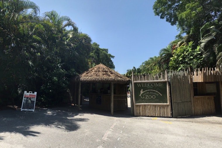 Palm Beach Community Mourns as Beloved Sloth Wilbur Passes Away at Zoo After 22 Years