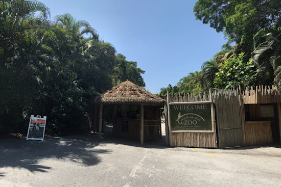 Palm Beach Community Mourns as Beloved Sloth Wilbur Passes Away at Zoo After 22 Years