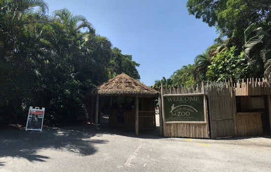 Palm Beach Community Mourns as Beloved Sloth Wilbur Passes Away at Zoo After 22 Years