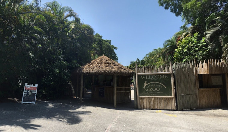 Palm Beach Community Mourns as Beloved Sloth Wilbur Passes Away at Zoo After 22 Years