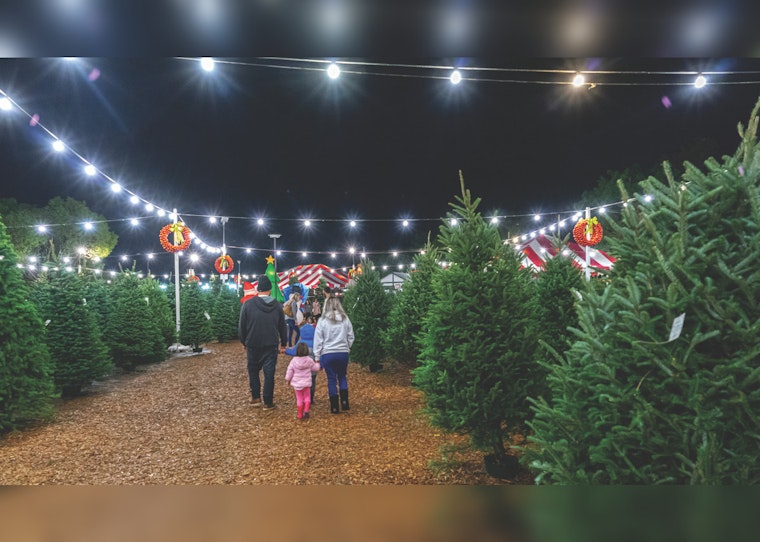 Palmdale's Holiday Spirit to Shine with Pines and Presents Tree Lot Opening