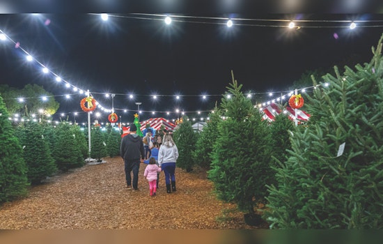 Palmdale's Holiday Spirit to Shine with Pines and Presents Tree Lot Opening