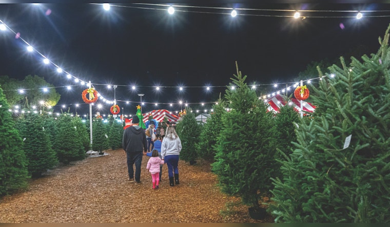 Palmdale's Holiday Spirit to Shine with Pines and Presents Tree Lot Opening