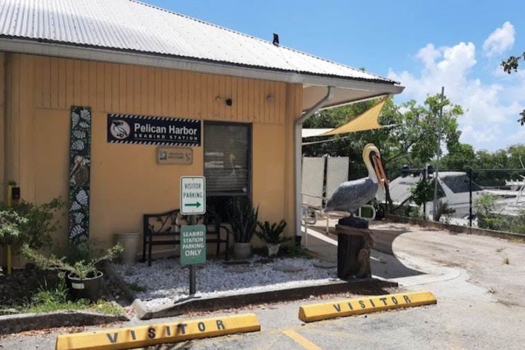 Pelican Harbor Seabird Station Breaks Ground on Advanced New Facility by Miami's Little River