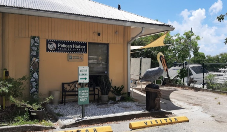 Pelican Harbor Seabird Station Breaks Ground on Advanced New Facility by Miami's Little River