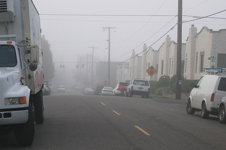 Periods of Sun Forecasted Amid Persistent Fog in Portland, Clearer Skies Expected for Thanksgiving