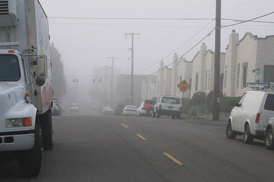 Periods of Sun Forecasted Amid Persistent Fog in Portland, Clearer Skies Expected for Thanksgiving