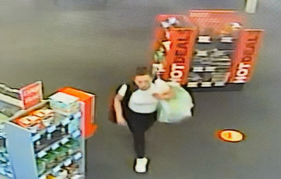 Petaluma Police Nab San Francisco and San Jose Suspects for Factory Outlet Theft Spree