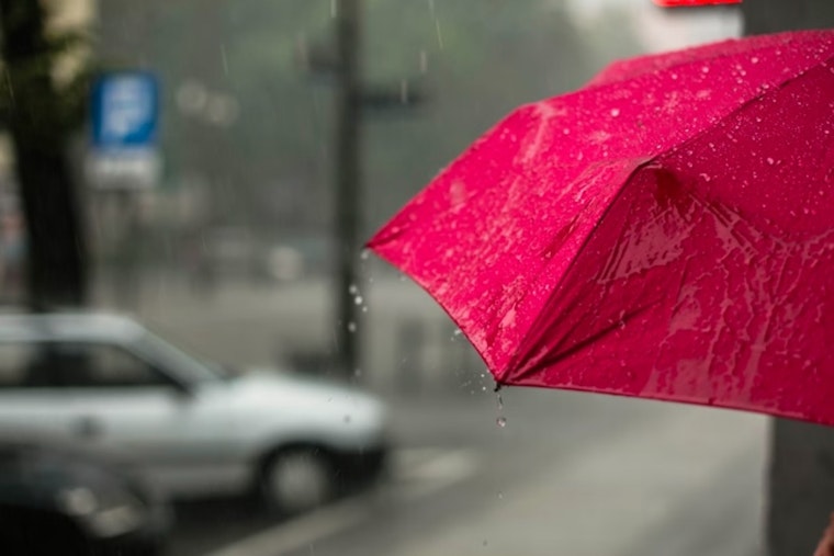 Philadelphia Braces for Thanksgiving Rain with Winds Up to 20 MPH, Sunny Respite Expected Friday