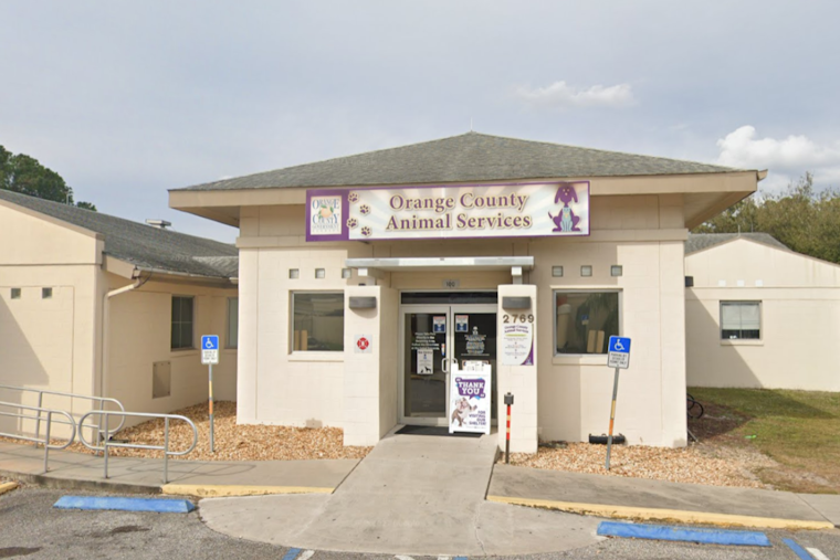 Phoenix Rising: Pet Alliance of Greater Orlando Breaks Ground for New Shelter Post-Devastating Fire
