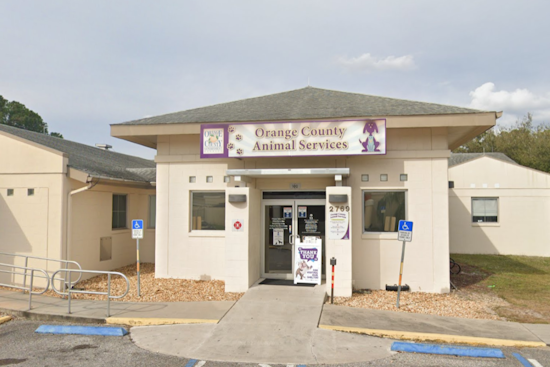 Phoenix Rising: Pet Alliance of Greater Orlando Breaks Ground for New Shelter Post-Devastating Fire