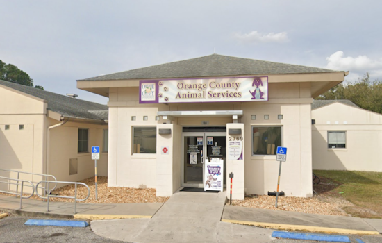 Phoenix Rising: Pet Alliance of Greater Orlando Breaks Ground for New Shelter Post-Devastating Fire