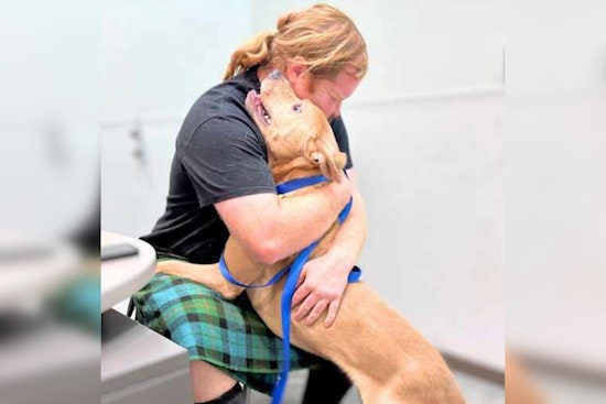 Pima Animal Care Center Excels in Strengthening Pet-Owner Bonds with Free Services and Family Support Programs