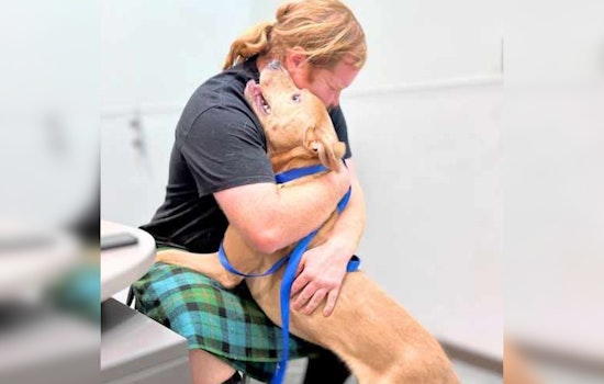Pima Animal Care Center Excels in Strengthening Pet-Owner Bonds with Free Services and Family Support Programs