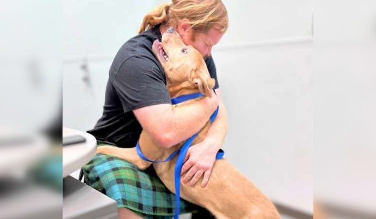 Pima Animal Care Center Excels in Strengthening Pet-Owner Bonds with Free Services and Family Support Programs