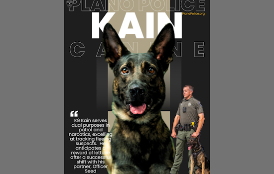 Plano Police Department Welcomes Kain, A Dual-Certified German Shepherd, to the Force