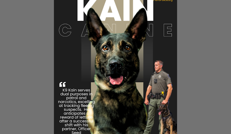 Plano Police Department Welcomes Kain, A Dual-Certified German Shepherd, to the Force
