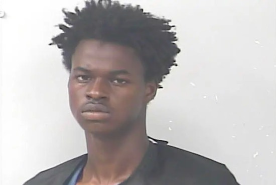 Port St. Lucie Teen Faces Murder Charges in Suspected Serial Killings