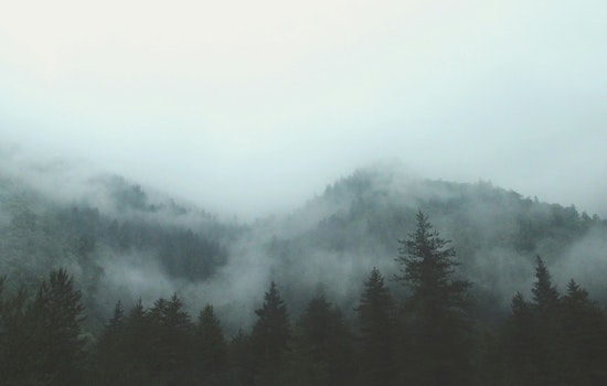 Portland Braces for Showers and Fog, with a Glimpse of Sun Before Weekend Rain Returns