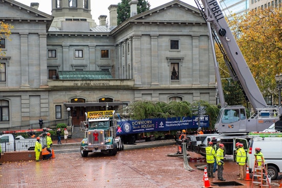Portland Lights Up with 75-Foot Christmas Tree Arrival at Pioneer Courthouse Square