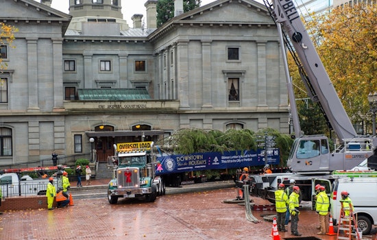 Portland Lights Up with 75-Foot Christmas Tree Arrival at Pioneer Courthouse Square