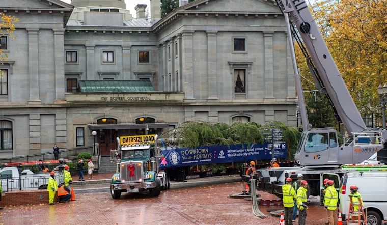 Portland Lights Up with 75-Foot Christmas Tree Arrival at Pioneer Courthouse Square