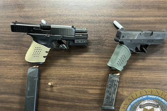 Probation Absconder and Teen Arrested with Stolen Firearms in Oshtemo Township