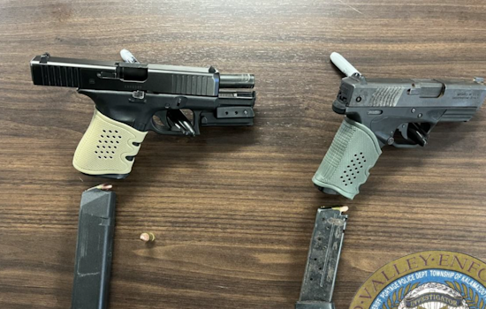 Probation Absconder and Teen Arrested with Stolen Firearms in Oshtemo Township
