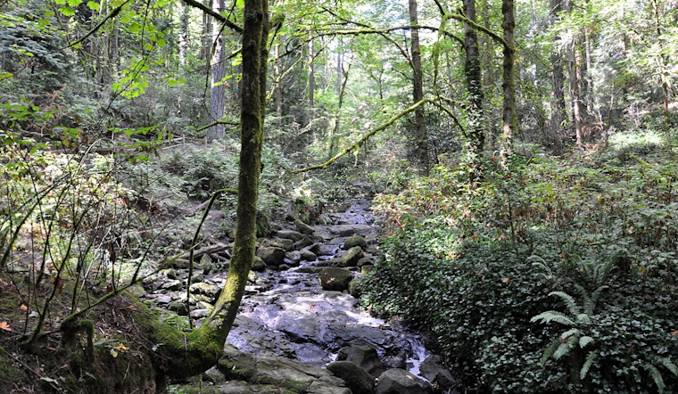 Public Health Advisory: Portland Officials Warn of Sewage Spill Impacting Tryon Creek Waters
