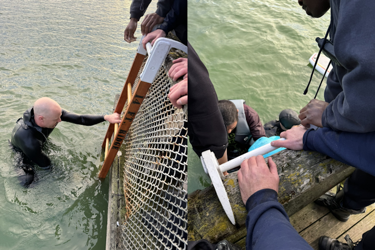 Quick Response and Good Samaritan Aid in Rescue of Two from Capsized Boat on Lake Merced, San Francisco