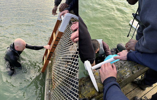 Quick Response and Good Samaritan Aid in Rescue of Two from Capsized Boat on Lake Merced, San Francisco