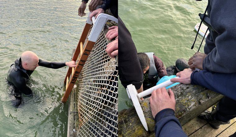 Quick Response and Good Samaritan Aid in Rescue of Two from Capsized Boat on Lake Merced, San Francisco