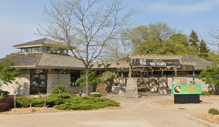 Racine Zoo Mourns the Loss of Beloved Masai Giraffe, Mac, After 16 Years of Enchantment