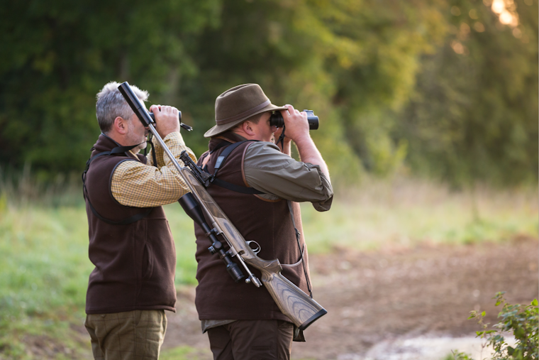 Red Oak Police Emphasize Safety as Deer Season Opens in Ellis County