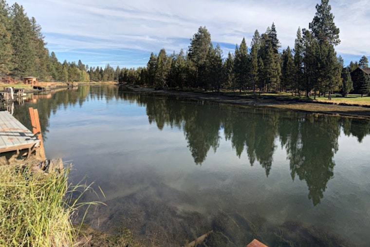 Rehabilitated River Otter Pups Make a Splash with Successful Return to Deschutes River in Central Oregon