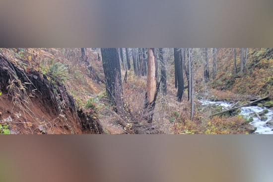 Rescued Near Multnomah Falls: Hikers and Dog Saved Thanks to Text-to-911 Amid Larch Mountain Trail Dangers
