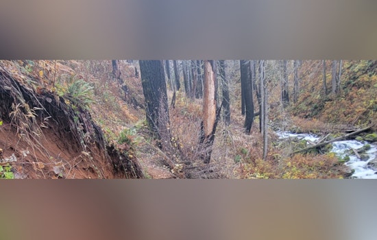 Rescued Near Multnomah Falls: Hikers and Dog Saved Thanks to Text-to-911 Amid Larch Mountain Trail Dangers