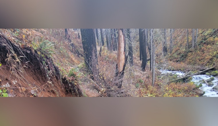 Rescued Near Multnomah Falls: Hikers and Dog Saved Thanks to Text-to-911 Amid Larch Mountain Trail Dangers