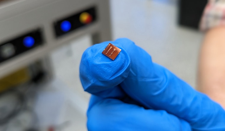 Revolutionary At-Home Blood Test Brews in Boston, SiPhox Health's Silicon Chip to Overhaul Chronic Illness Care
