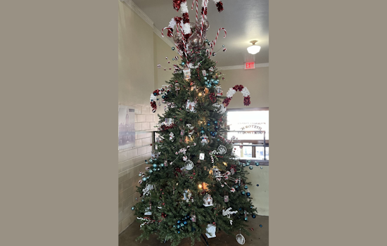 Rockwall County 4-H Council Spreads Holiday Cheer with Gingerbread-Themed Christmas Tree at Historic Courthouse