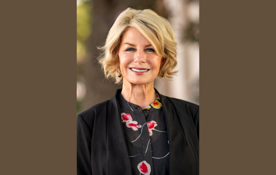 Rockwall County Leader Dana K. Cullins Macalik Joins Texas Conference of Urban Counties Board