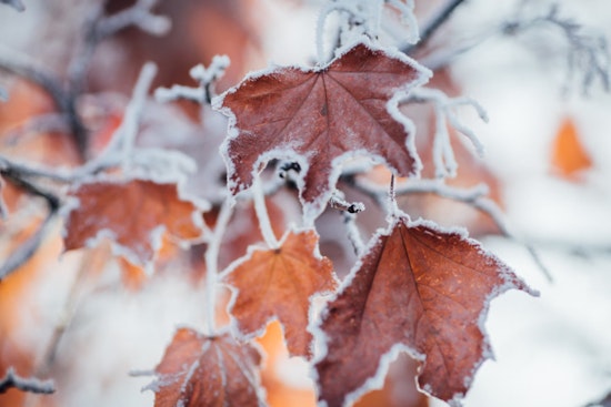 Sacramento Braces for Wintry Weather as Thanksgiving Nears and Travelers Are Warned of Mountain Snow