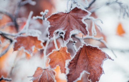 Sacramento Braces for Wintry Weather as Thanksgiving Nears and Travelers Are Warned of Mountain Snow